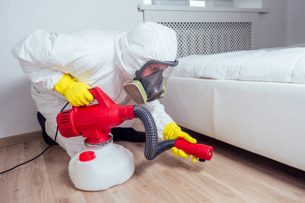 Best Commercial Pest Control  in Cottonwood, AZ